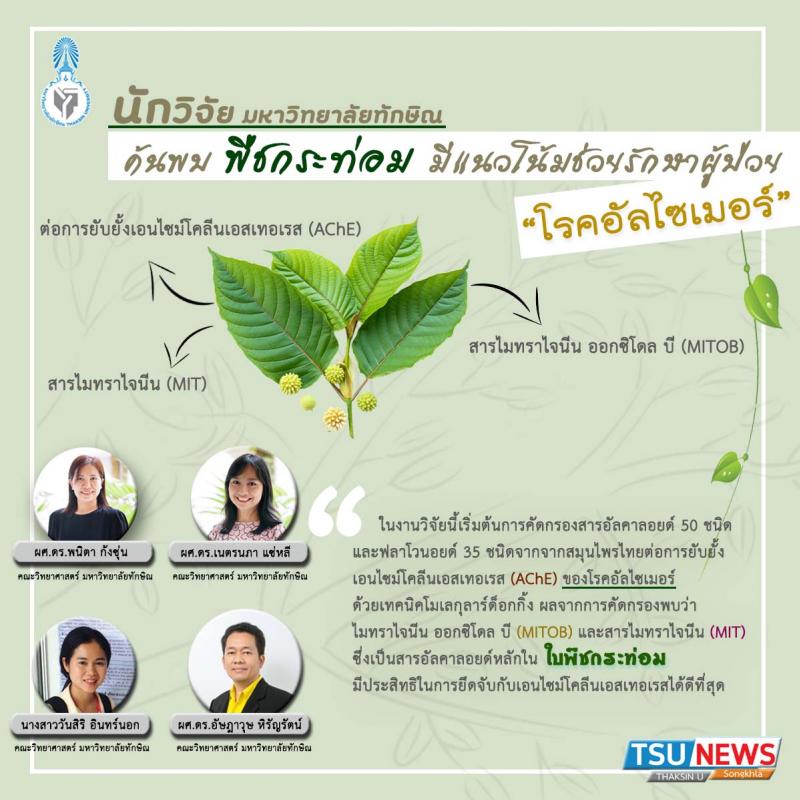 นักวิจัย มหาวิทยาลัยทักษิณ ค้นพบ พืชกระท่อม มีแนวโน้มช่วยรักษาผู้ป่วย "โรคอัลไซเมอร์"